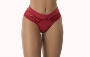 Calcinha Sexy Fio de Renda – Doce Malícia
